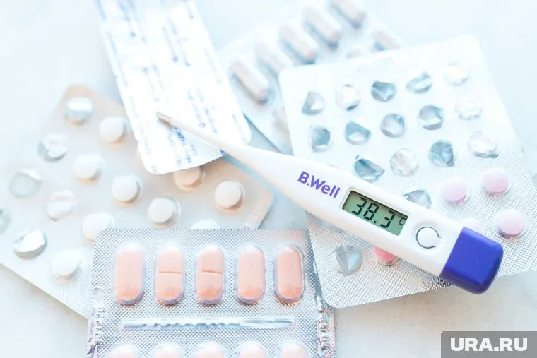 Свиной грипп циркулировал в Перми в 2009 году