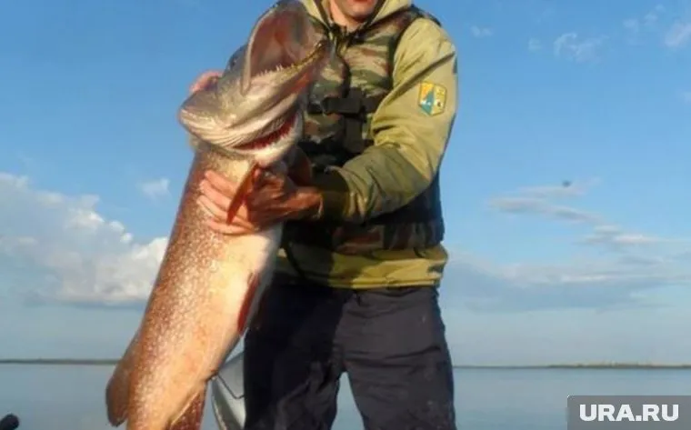 Рыбак побил свой личный рекорд ровно в два раза