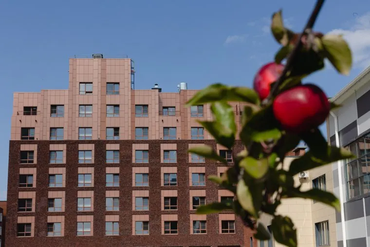 Ученые высадили для атриума растения разных климатических зон 