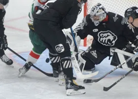 Фотография из галереи