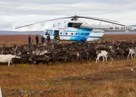 Сибирскую язву инсценировали неизвестные на вертолетах