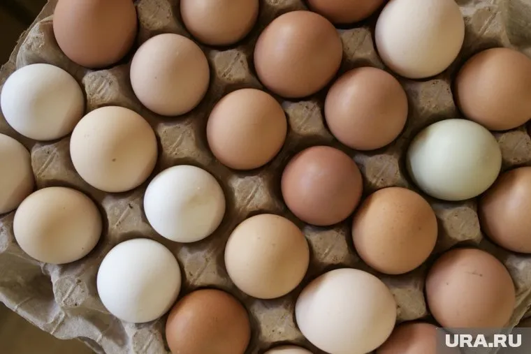 Цена 75 рублей указана за шесть яиц