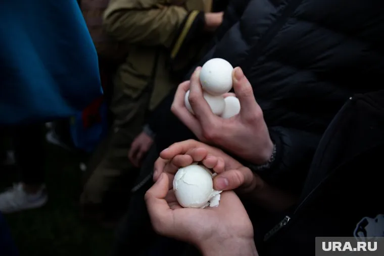 Организаторы акции пообещали, что во время акции в оппонентов «не полетит ни одно яйцо»