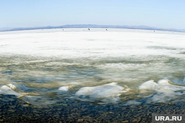 Над разгадкой преступления работают сыщики