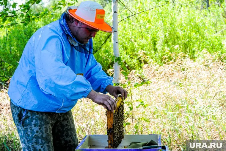 Причину гибели сейчас выясняют сотрудники краевого ведомства