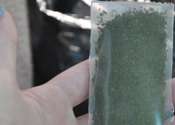 Фотография из галереи