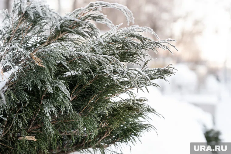 До конца месяца в Пермском крае вероятны оттепели