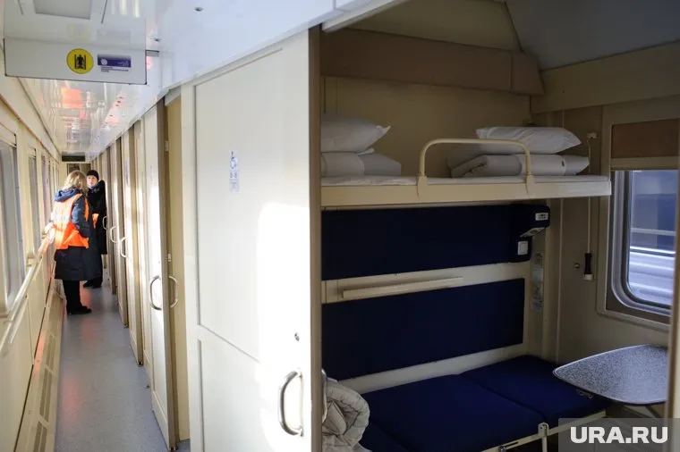 Работники поезда опрашивали пассажиров о принадлежности кота Твикса, заявили в ФПК