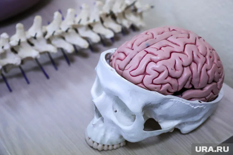 Ученые раскрывают новые возможности человека