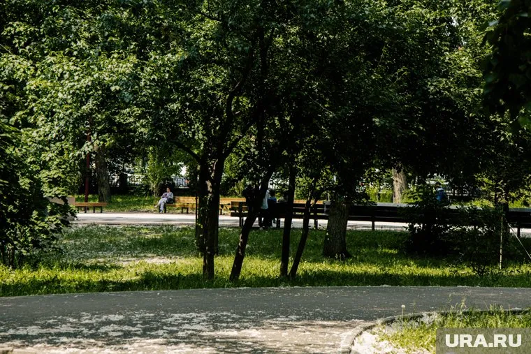 Мэр просит жителей города бережнее относится к зонам отдыха