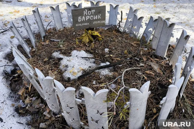 Захоронение хорошо просматривается со стороны дороги  