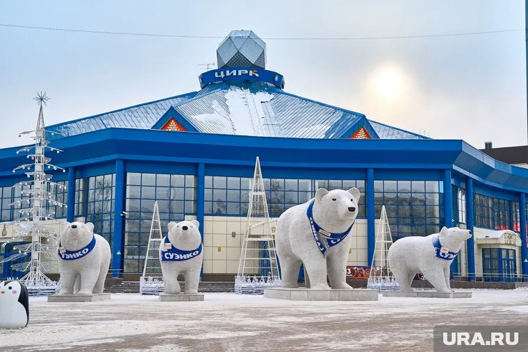 Имена белым медведям СУЭНКО выбирали жители Тюмени и Тобольска