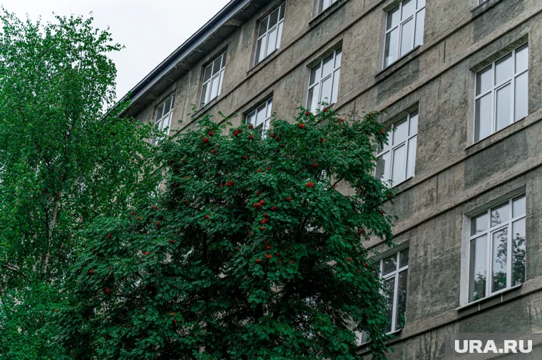 Тело обнаружили по окнами многоэтажки