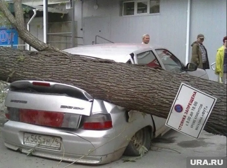 Из-за сильнейшего ветра страдают автомобили