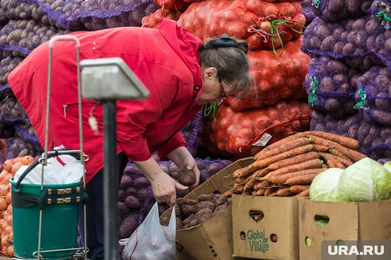 Стоимость килограмма репчатого лука выросла на 7,81%