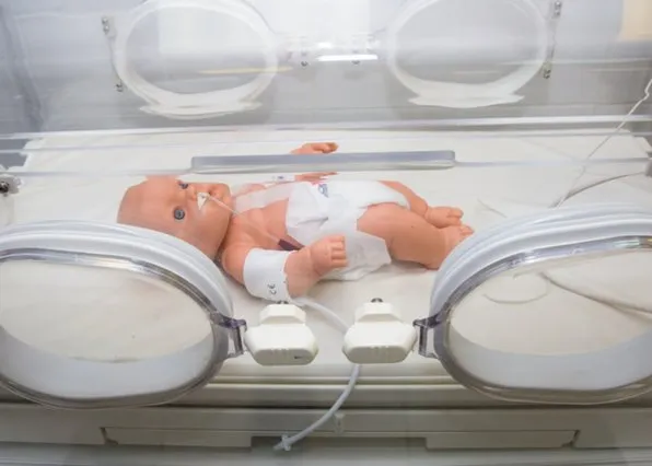 Фотография из галереи