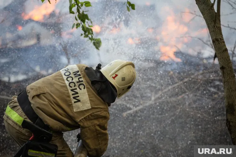 На территории загорелась сухая трава (архивное фото)