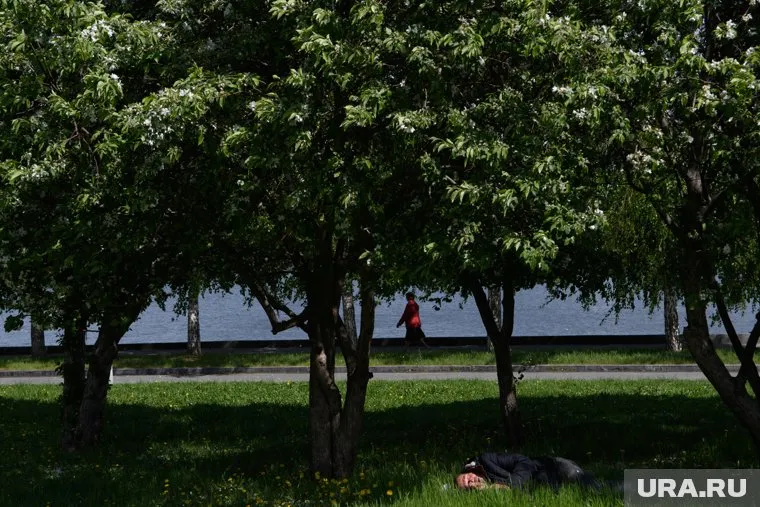Теплая погода вернется во второй половине сентября