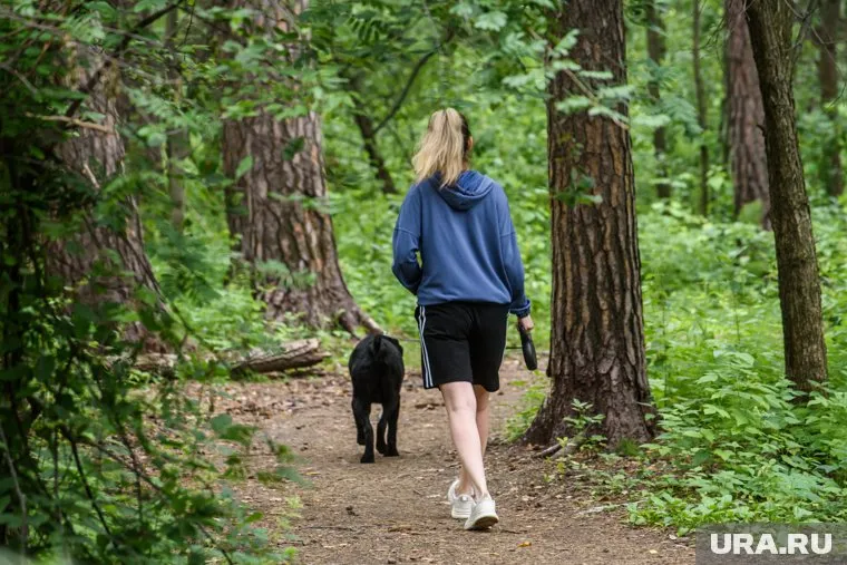 Полиция разбирается в обстоятельствах произошедшего