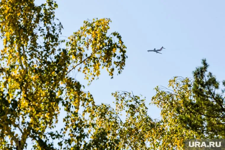 Немецкие министры зовут россиян в Германию