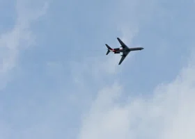 Фотография из галереи