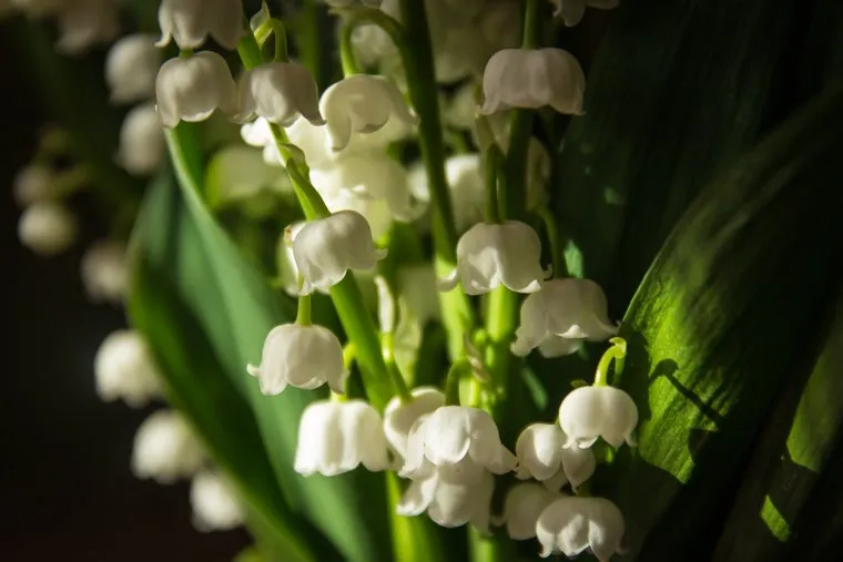 Клипарт. Магнитогорск