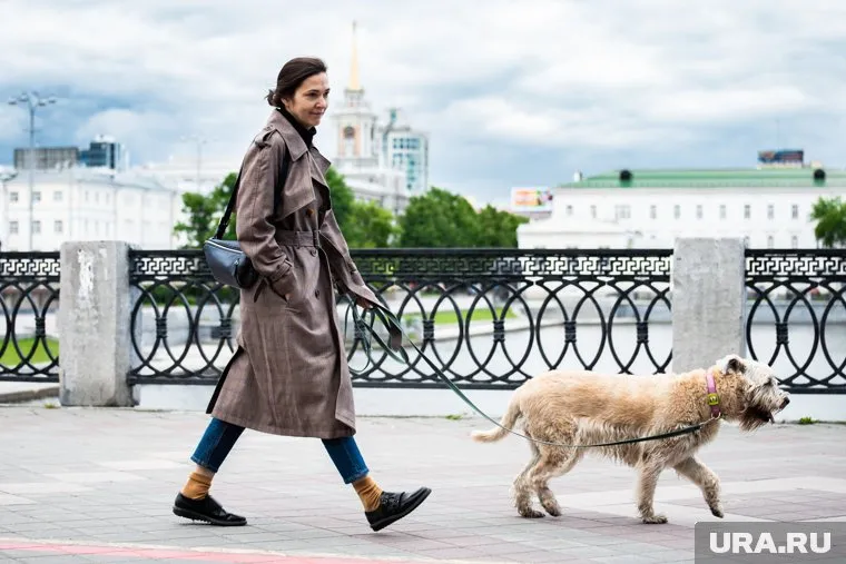 Штрафы должны быть выше, чем в КоАПе, считают парламентарии