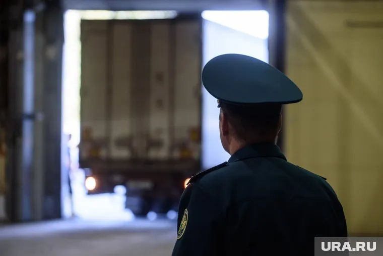 Стоимость пиломатериалов, которые пытались вывезти из РФ превысила 1 млн рублей