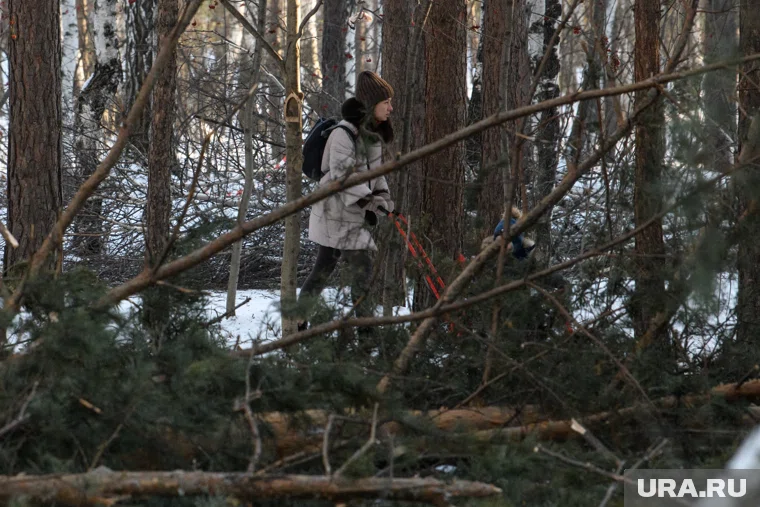 Противостояние в Березовой роще. Екатеринбург 