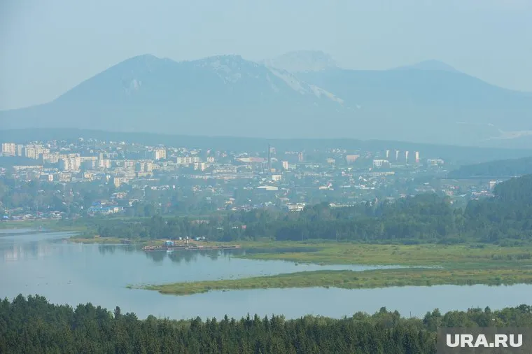 Уникальный тритон был найден возле национального парка «Таганай»