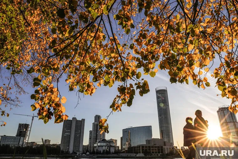 Осадков 15 мая не будет