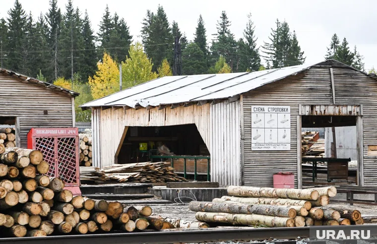 ФСБ нашла нелегальных мигрантов на пилорамах Кетовского округа