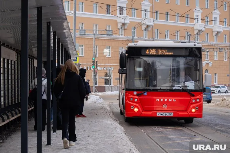 Автобусы пустят в объезд улицы Карпинского