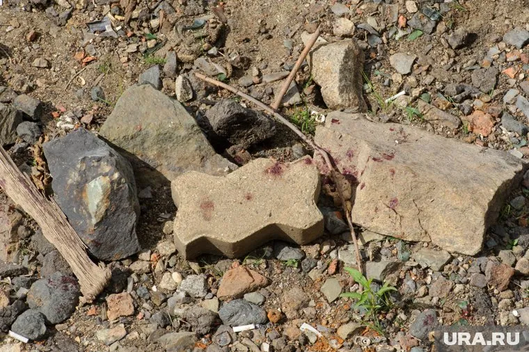 Подростки сначала ударили жертву камнем по голове, а потом утащили в лес