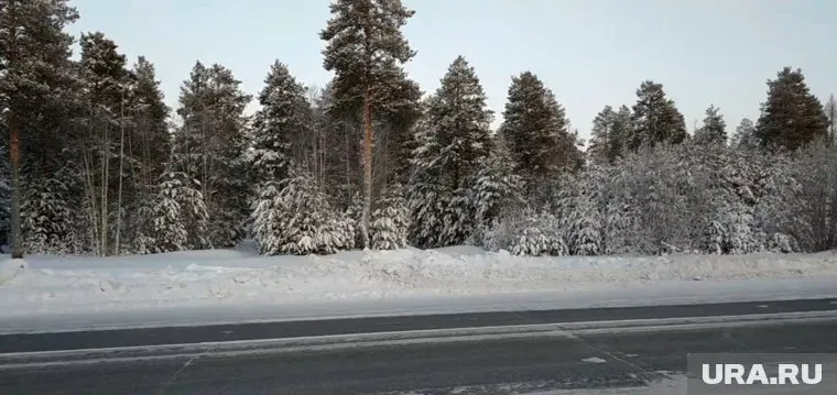 Торговый центр может разместиться в девятом микрорайоне в Ноябрьске