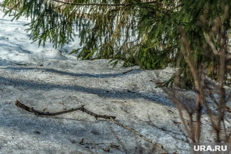 Зимой 2024-2025 снег лежал 150 дней