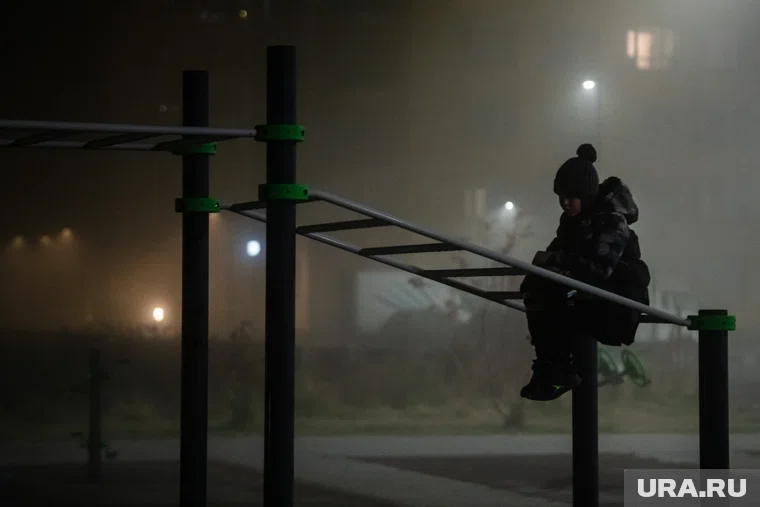 Дарчиев охарактеризовал инициативу сенаторов как «явную провокацию»