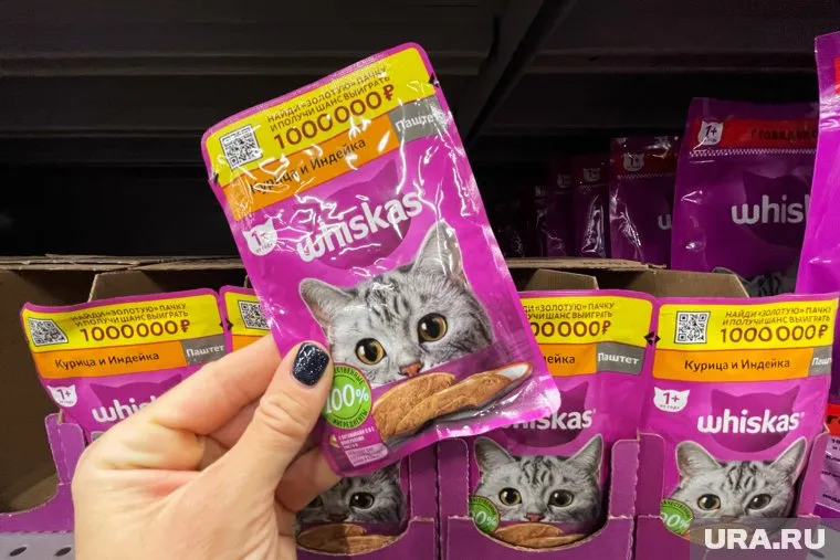 В сургутском «Магните» ввели жесткий лимит на покупку кошачьего корма