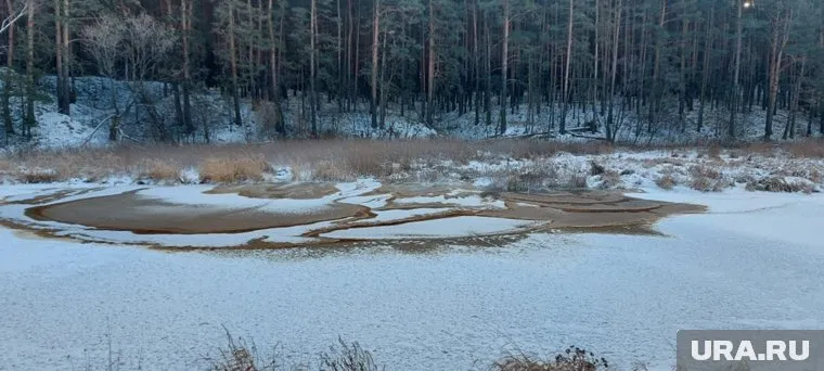 По словам местных жителей, безобразие длится уже год