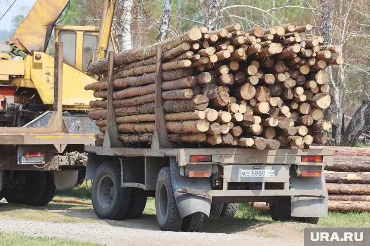Аренда дач выросла из-за подорожания стройматериалов, заявил эксперт Морковкин
