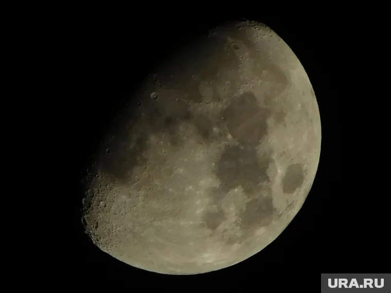 Рапс, картофель, резуховидка Таля, дрозофилы и дрожжи не прижились на Луне