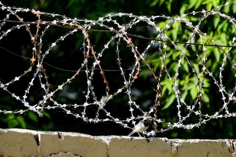 Объезд по строительству дорог с Кожевниковым Николаем. Челябинск