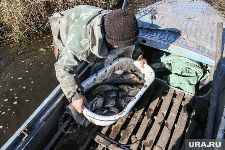 В Салехарде задержали председателя рыболовецкой артели и нескольких бизнесменов 