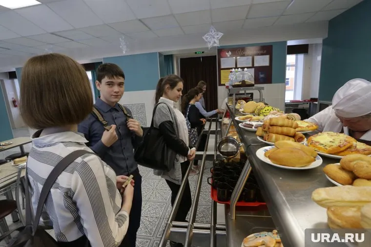 В школьных столовых запретили готовить во фритюре и кормить пирожными