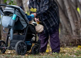 Вильфанд: сразу в шести округах России ожидается теплый ноябрь