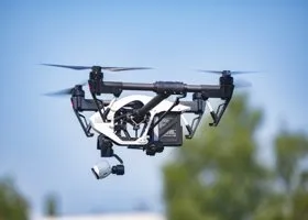 Фотография из галереи