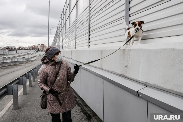 Соблюдать самоизоляцию тюменцам надо еще неделю