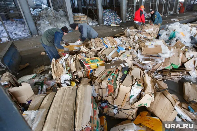 Строительство мусороперерабатывающего комплекса в Кетовском районе оценили в 1,1 млрд рублей