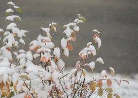 Челябинцам рассказали, какой будет погода в декабре 