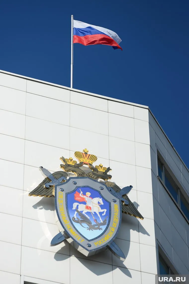 СКР проведет проверку по факту жалобы омича Владимиру Путину